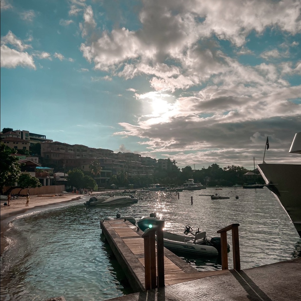 Meet your Posher, Josie